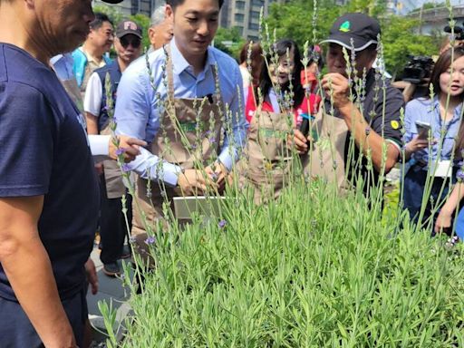 象山田園基地開箱 可食植栽綠意生香