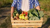 Il n'est pas trop tard pour planter ces fruits et légumes d'été