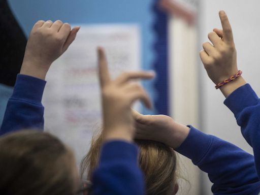 Government must reform system for children with educational needs, say councils