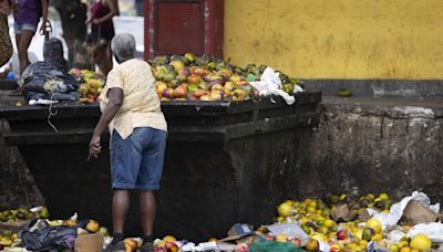 Transferência de renda não é suficiente para acabar com a fome. Especialistas dizem o que falta