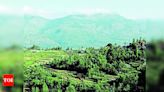 Idukki land grab: 9 more added to SIT | Thiruvananthapuram News - Times of India