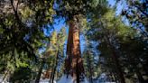 These storm-damaged California parks, trails, roads are closed Memorial Day weekend