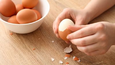 雞蛋、雞肉怎麼挑最新鮮？用「水煮蛋」測試見真章 - TNL The News Lens 關鍵評論網