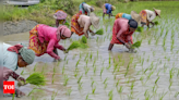 Budget 2024: Digital crop survey and climate-resilient farming set to revolutionise agriculture, new national cooperation policy for strengthening the farm sector - Times of India