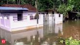 Heavy rains continue in Kerala, IMD sounds red alert in two districts - The Economic Times