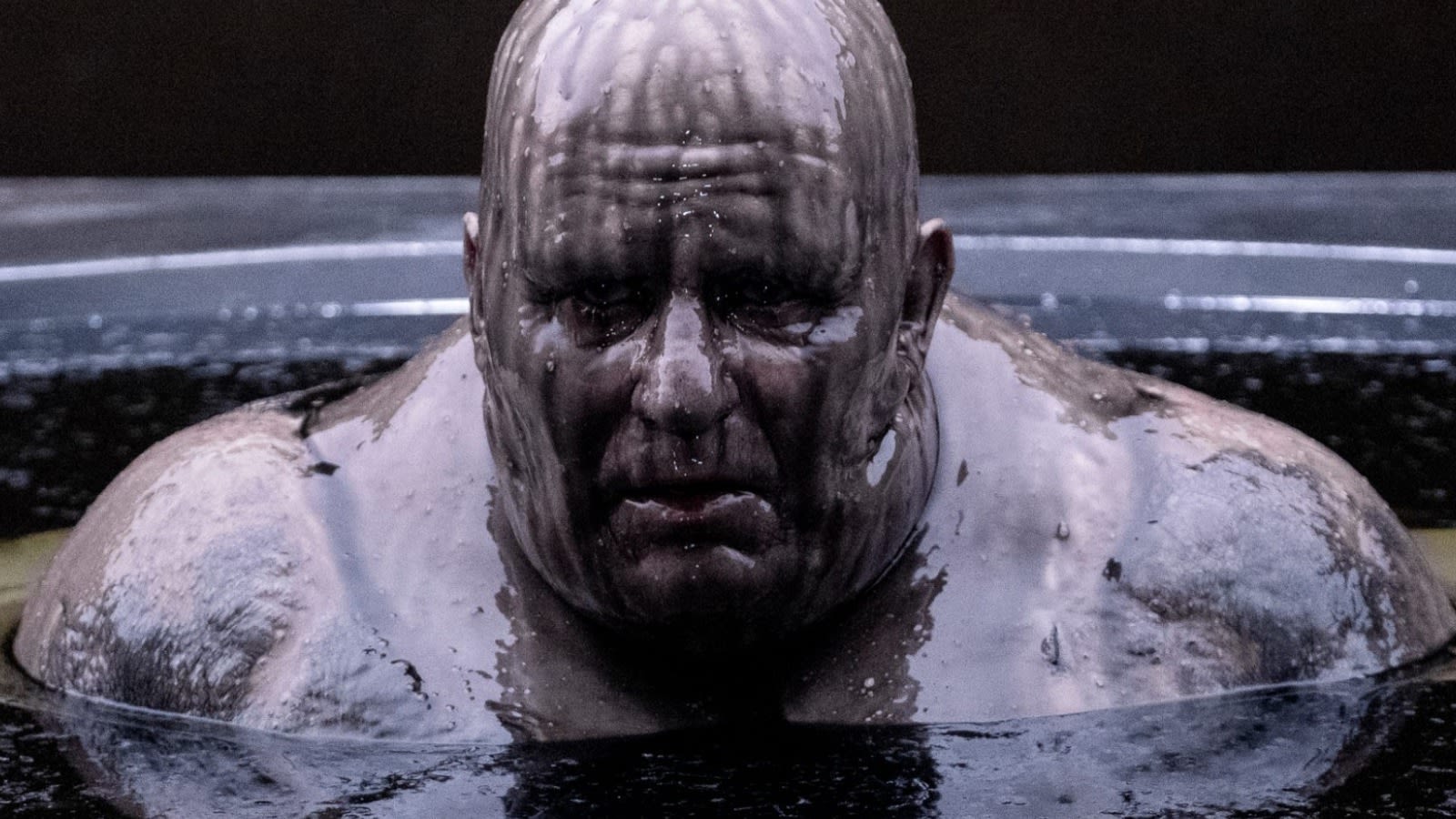 Dune's Stellan Skarsgård Had One Requirement For His Baron Harkonnen Prosthetics - SlashFilm