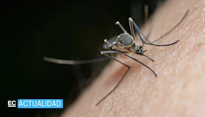 Guatemala declara la emergencia sanitaria por la epidemia de dengue