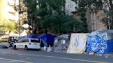 Los Angeles County Reports Slight Plateau in Homelessness-Related Mortality Rates - SM Mirror