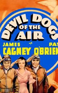 Devil Dogs of the Air