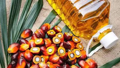 India's June palm oil imports rise to 6-month high on lower prices - ET Retail