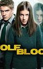 Wolfblood Secrets