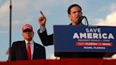 Florida senator wants to be Trump's VP pick