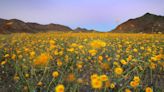 Don't let Death Valley's name scare you. This national park can be heavenly.