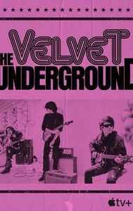 The Velvet Underground (film)