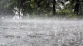 Heavy rains lash Nagpur, school holiday declared; red alert for Chandrapur