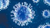 模型預測流感病毒基因進化 準確度近九成 | am730