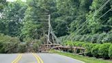 Fallen tree closes Huntersville road for hours