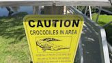 Residents of Satellite Beach advised to coexist with nearby crocodile