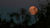 A sturgeon moon will rise over Kentucky this week. Here’s the best time to catch it