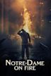 Notre Dame on Fire