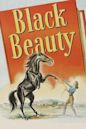 Black Beauty (1946 film)