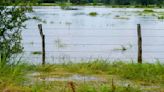 Prolonged heavy rainfall causing flooding, livestock safety concerns