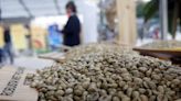 越南農夫棄守咖啡 平價豆期貨貴到破紀錄 「果王」脫不了關係 - 趨勢