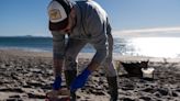 Disputa política en España luego de que las playas del norte quedaran cubiertas de millones de bolitas de plástico