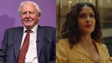 A video that appears to show David Attenborough narrating a programmer's life shows Hollywood actors are right to be afraid of AI