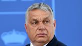 Hungary's leader rebuked for opposing 'mixed race' society