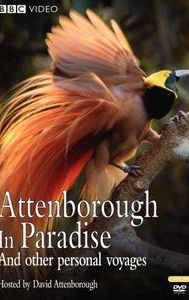 Attenborough in Paradise