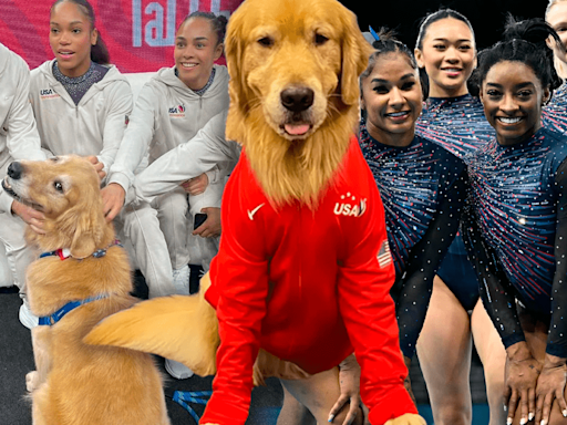 Conoce a Beacon, el perro Golden Retriever viral, que acompaña a Simone Biles y USA en los JJ. OO. París 2024