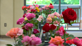 Asheville blooms: Annual rose show draws gardeners for sights, advice, membership