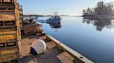 Lobster season opens in southeastern P.E.I. on cold but 'beautiful' day