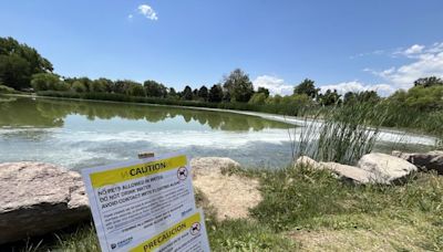 Toxic blue-green algae shuts down two Denver-area lakes indefinitely