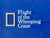 Flight of the Whooping Crane