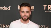 Liam Payne pays tribute to late Queen with stunning painting which took over 2 days to create