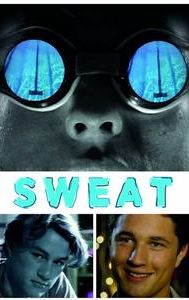 Sweat (Australian TV series)