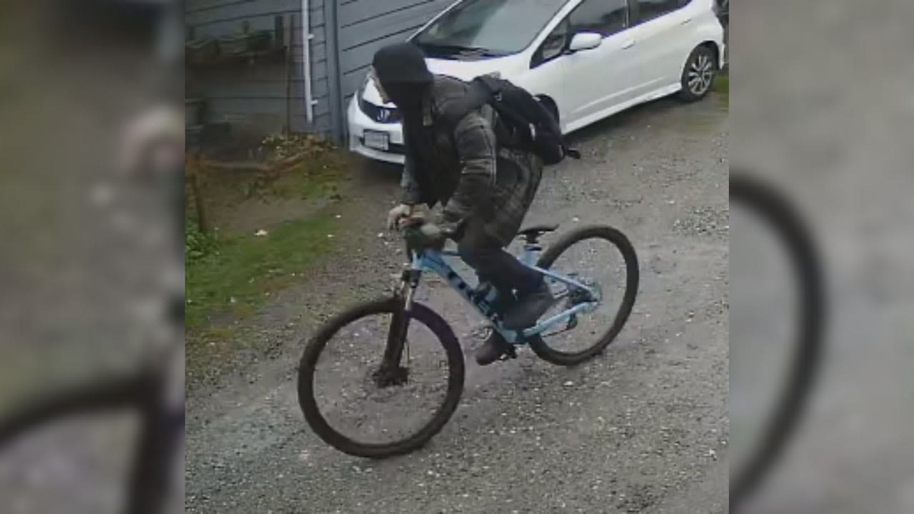 Vancouver police release photo of suspect in alleged child luring case