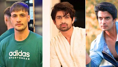 5 Highest-Paid Khatron Ke Khiladi 14 Contestants: Asim Riaz Charges 100% Higher Salary...