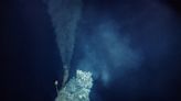 Scientists warn deep sea mining could be an environmental disaster as regulation negotiations stall