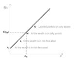 Capital market line