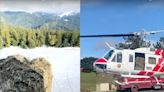 California officials are tossing bales of hay off helicopters to save cattle that are snowed in and starving