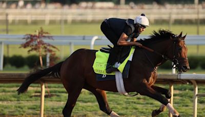 Kentucky Derby Field 2024: Entries List, Betting Lines and Picks