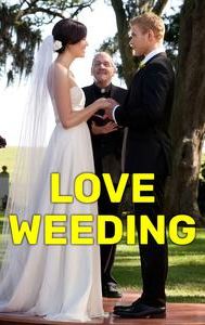 Love, Wedding, Marriage