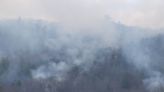 2,000-acre prescribed burn taking place in Washington Co., Tenn. on Sunday
