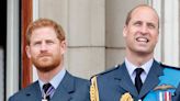 Prince William follows in Prince Harry's footsteps with surprise book deal