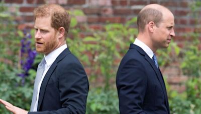 Prince Harry and William's 'sad' split laid bare by palace insider