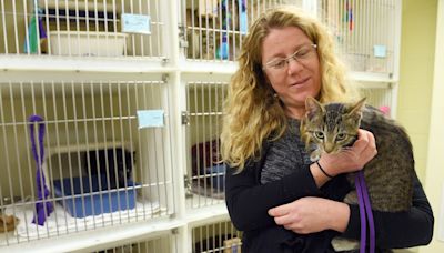Head of Anne Arundel County Animal Control ‘separated’ from agency