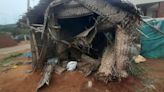 Narrow escape for construction workers as elephants damage their shed near Coimbatore